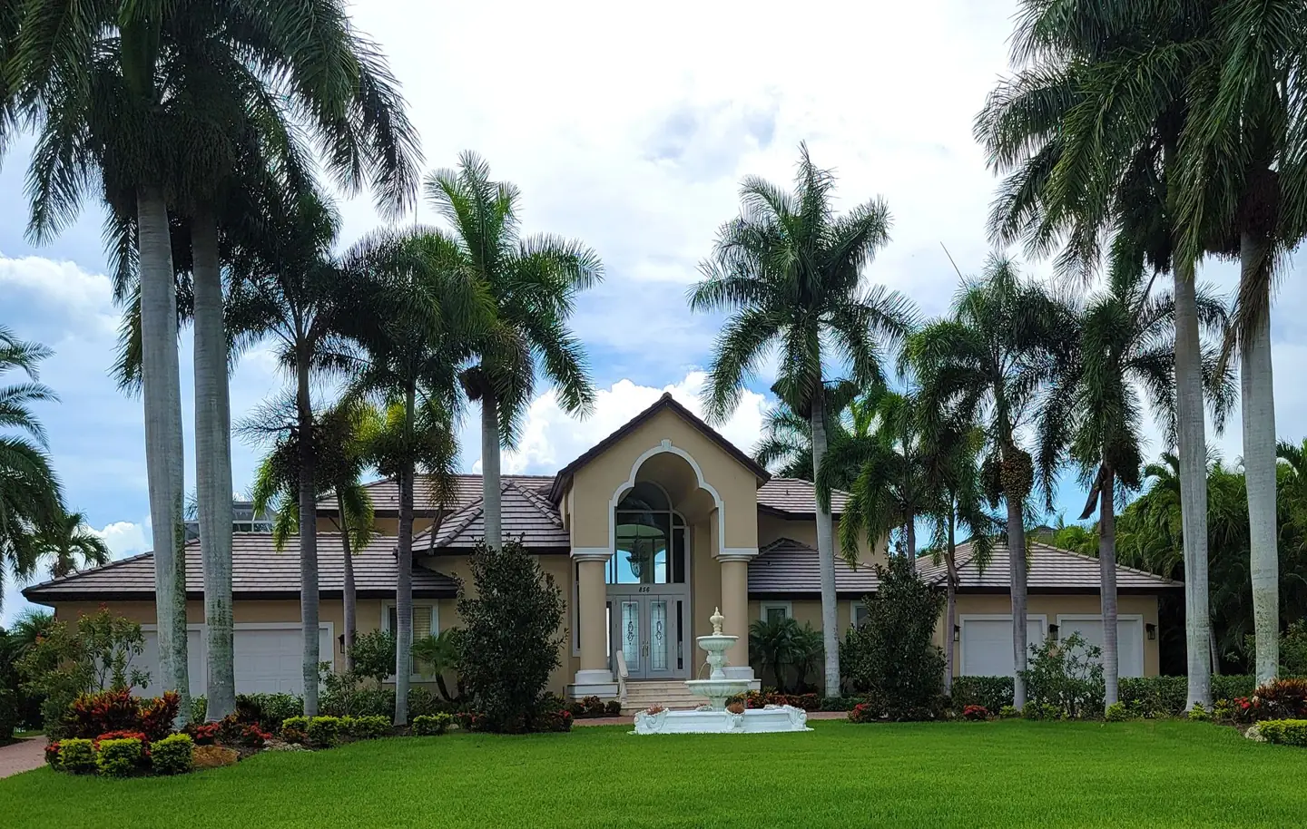 Landscape inspiration: a green lawn framed by palms and tropical garden beds.